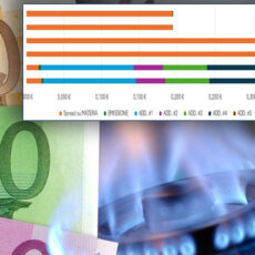 ANALISI CONSUMI GAS E LUCE